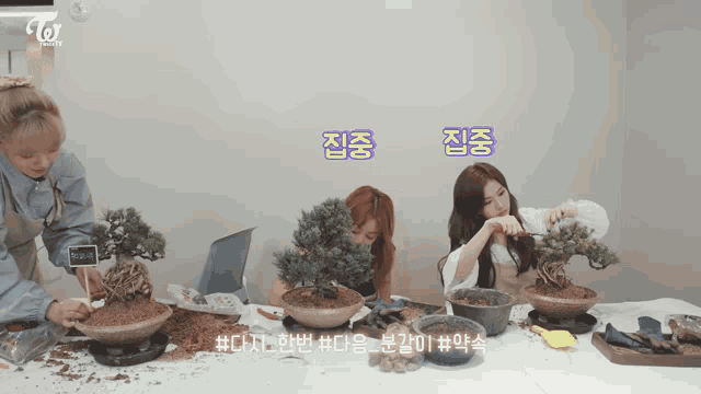 three women are sitting at a table with potted plants and a sign that says ' twice beauty ' on it