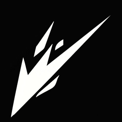 a white arrow on a black background that looks like it is flying
