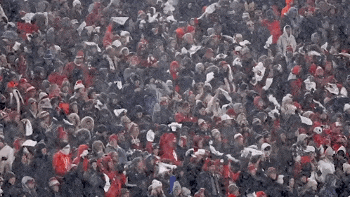 a crowd of people are gathered in a stadium and one of them has a scarf that says ' ohio ' on it