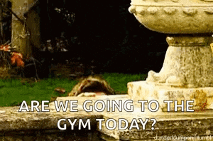 a statue with the words are we going to the gym today written on it .