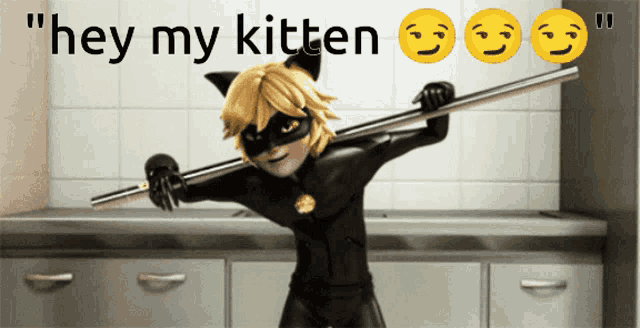 a picture of a cat noir holding a stick with the words " hey my kitten " above him