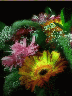 Flower Glowing GIF - Flower Glowing Night GIFs