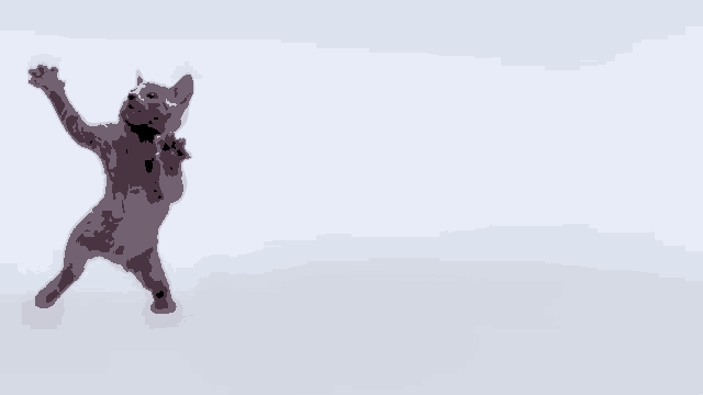 a kitten is standing on its hind legs with its paws up in the air .