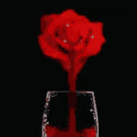 a red rose is poured into a glass of wine