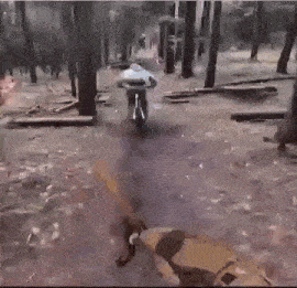a man is riding a bike in the woods while a dog looks on .