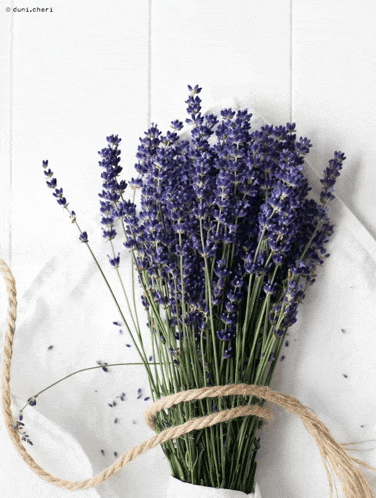 a bunch of purple flowers tied with a rope