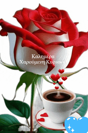 a cup of coffee sits on a saucer next to a large red rose