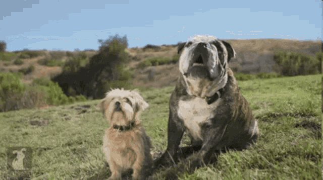Having A Bad Day Let Me Make It Better GIF - Having A Bad Day Let Me Make It Better Cheer Up GIFs