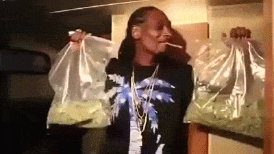 snoop dogg is smoking a cigarette while holding bags of marijuana .