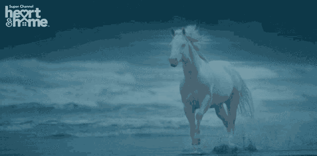 a picture of a white horse running on a beach with the words super channel heart & home below it