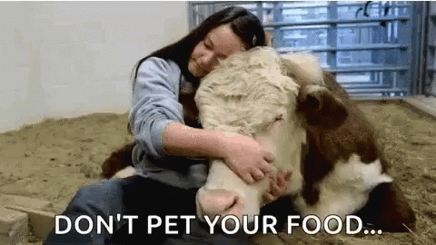 Dont Pet Your Food Cow GIF - Dont Pet Your Food Cow GIFs