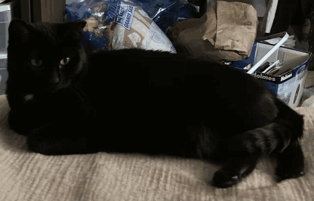 a black cat is laying on a blanket next to a box that says holmes on it