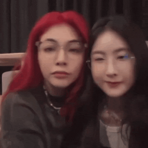 two women with red hair and glasses are posing for a picture together .