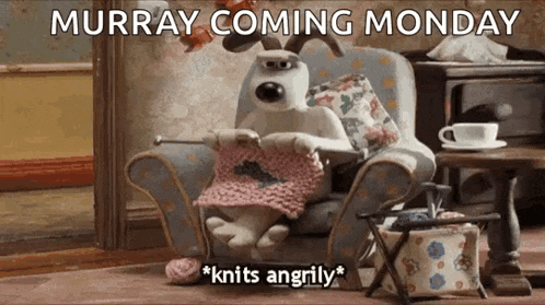 a cartoon dog is sitting in a chair knitting and says murray coming monday