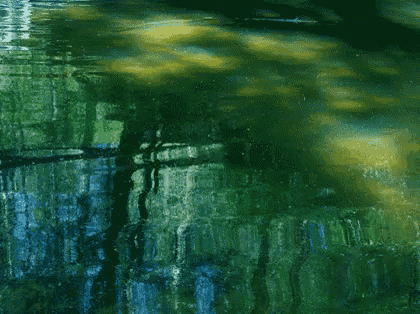 a painting of a lake with trees reflected in the water