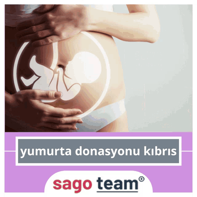 a picture of a pregnant woman 's belly with the words sago team below