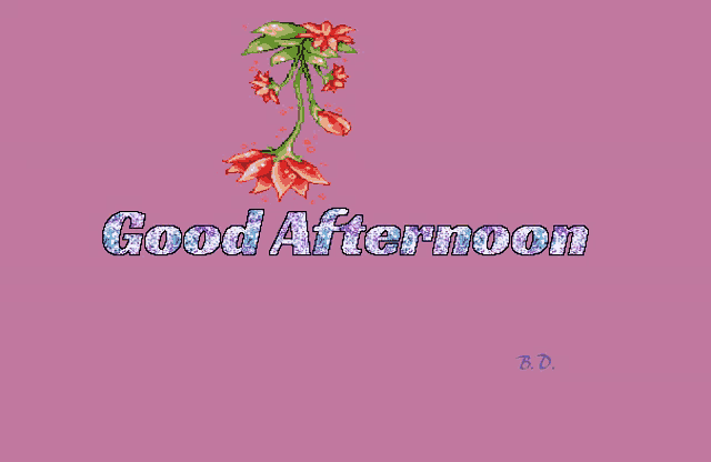 a pink background with the words good afternoon