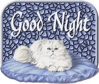 a white cat is laying on a bed with the words good night written above it