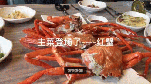 蟹蟹蟹蟹蟹！ Thanks Crabs. GIF - 丁蟹thanks Thank You GIFs