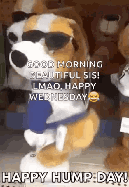 a stuffed dog wearing sunglasses and a shirt is standing next to a teddy bear .