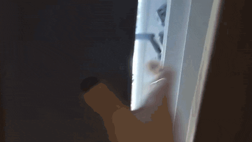 a person is looking out of a window with a cup of coffee in it