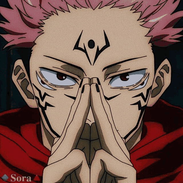 a close up of a person 's face with the word sora on the bottom