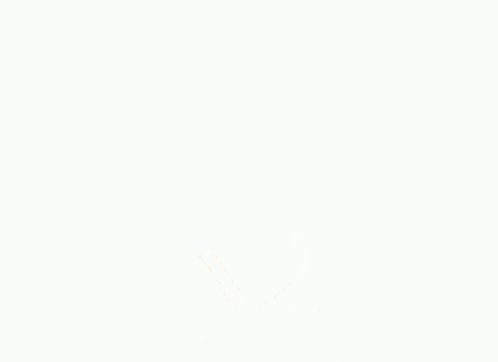 a cartoon drawing of a fox with a white background .