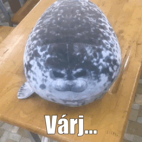 a stuffed seal sitting on a wooden table with the word vari written on it
