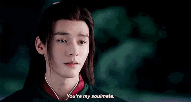 Wen Kexing Word Of Honor GIF - Wen Kexing Word Of Honor Soulmate GIFs