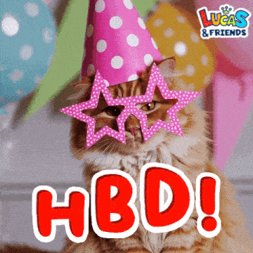 a cat wearing a party hat and sunglasses with the words hbd written in red