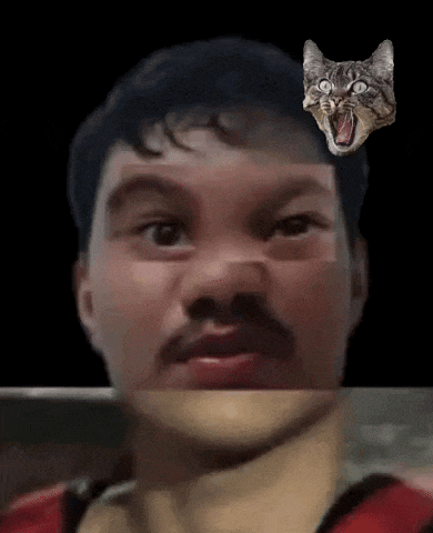 a man with a mustache and a cat 's face on his face .