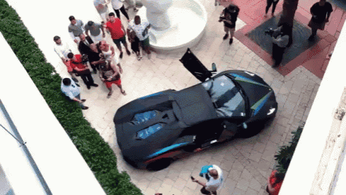 Lamborghini Aventador Sets Bush On Fire With Exhaust! GIF - Students School Mariachi GIFs