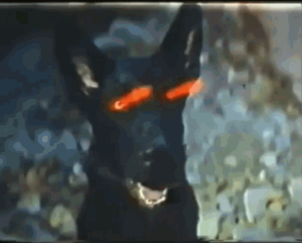 a painting of a black dog with orange eyes