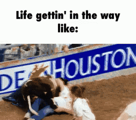 Calf Scramble GIF
