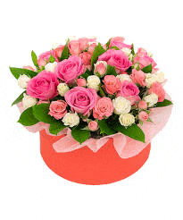 a red box filled with pink and white roses on a white background