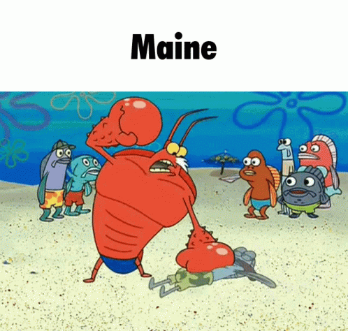 Maine Lobster GIF - Maine Lobster GIFs