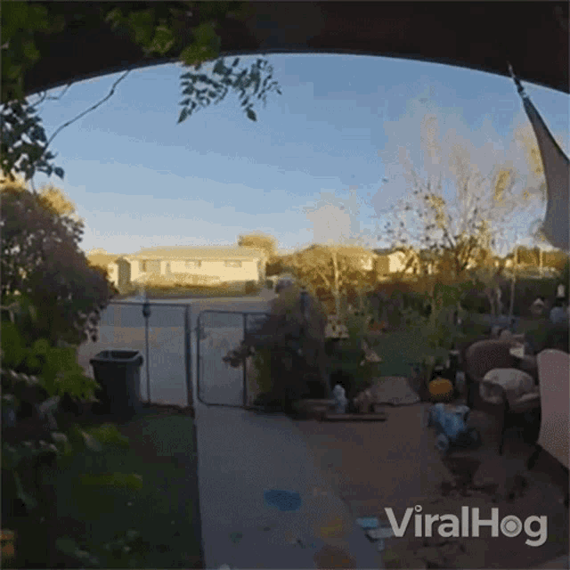 Crashing Viralhog GIF - Crashing Viralhog Losing Control Over The Car GIFs