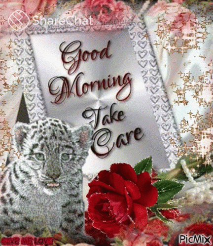 Good Morning Take Care GIF - Good Morning Take Care Morning GIFs