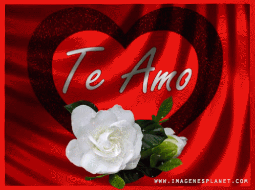 Te Amo Rosas Romanticas GIF - Rosasromanticas Teamo Rosas GIFs