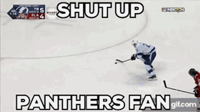 a panthers fan gif shows a hockey game being played