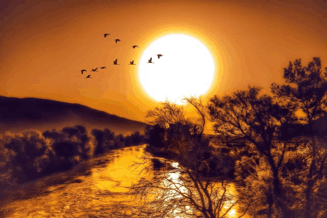 a flock of birds flying over a river with mountains in the background