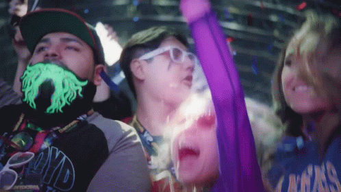 Rave Party GIF - Rave Party Concert GIFs