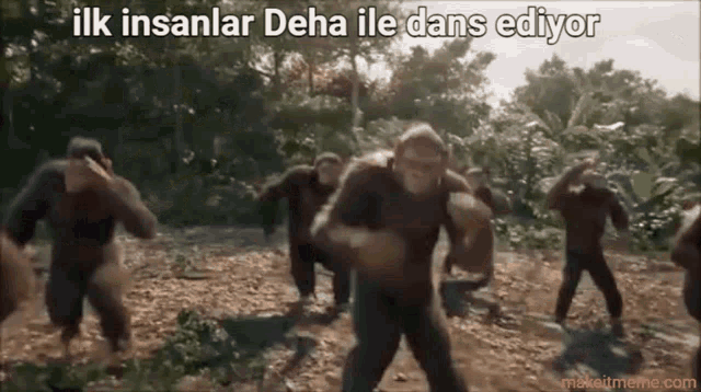 a group of monkeys are dancing in the dirt with the words ilk insanlar deha ile dans ediyor
