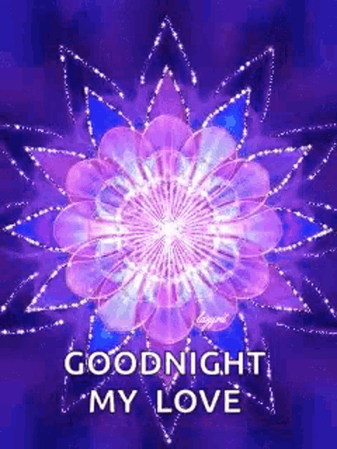 a purple flower with the words `` goodnight my love '' written on it on a purple background .