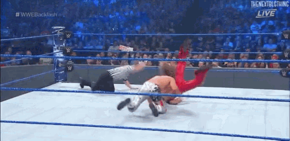 two men are wrestling in a wrestling ring with a referee