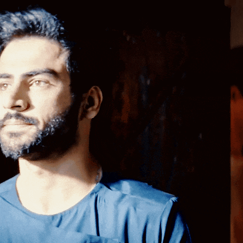 a man with a beard wearing a blue shirt looks at the camera