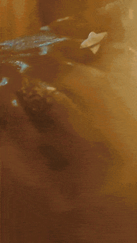 a close up of a person taking a shower with water coming out of their hair