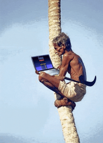 a man is sitting on a palm tree using a laptop computer