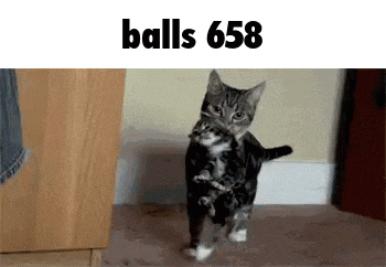 a cat is holding a kitten in its arms and the words balls 658 are above it