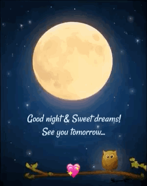 Good Night Sweet Dreams GIF - Good Night Sweet Dreams See You Tomorrow GIFs